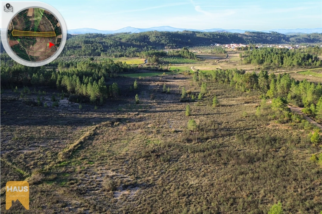 Terreno Agricola ou Rústico para Venda em Freixial e Juncal do Campo Foto 9