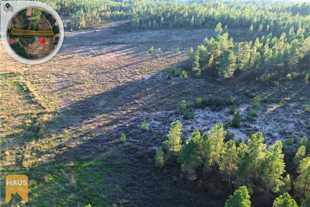 Terreno Agricola ou Rústico para Venda em Freixial e Juncal do Campo Foto 23