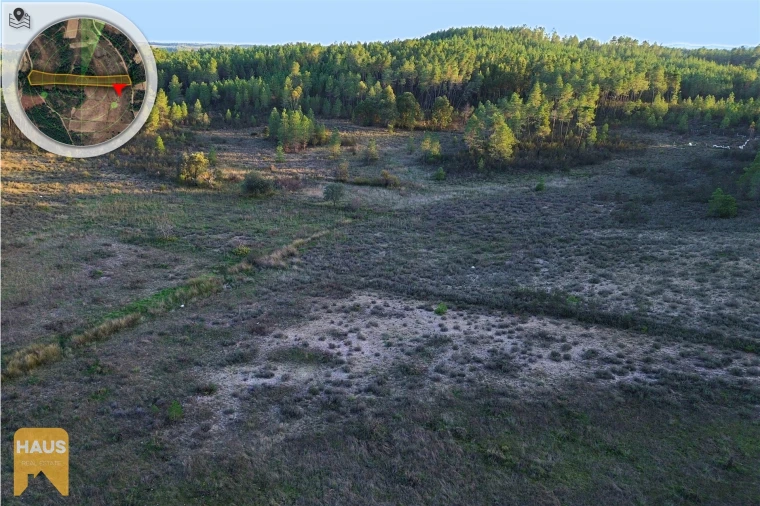 Terreno Agricola ou Rústico para Venda em Freixial e Juncal do Campo Foto 15