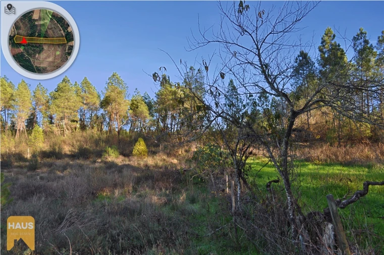Terreno Agricola ou Rústico para Venda em Freixial e Juncal do Campo Foto 3