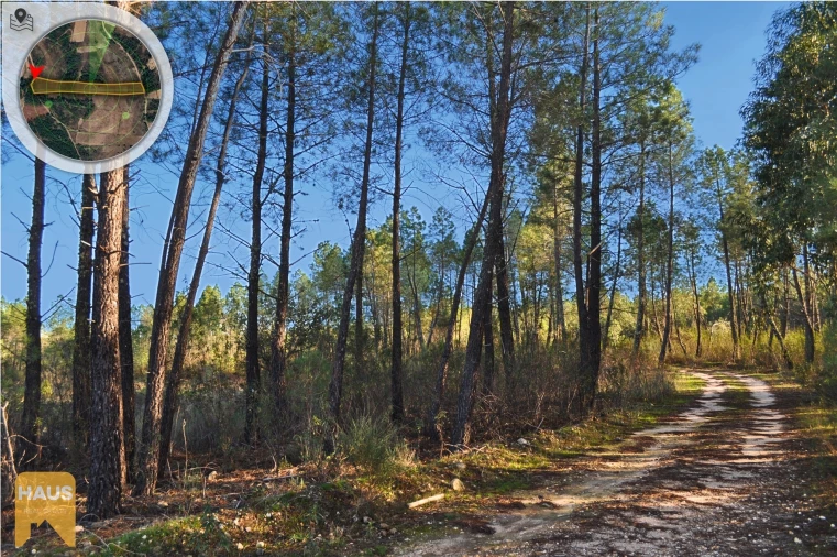 Terreno Agricola ou Rústico para Venda em Freixial e Juncal do Campo Foto 25