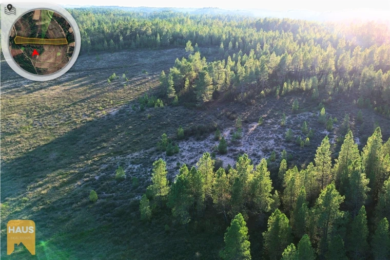 Terreno Agricola ou Rústico para Venda em Freixial e Juncal do Campo Foto 22