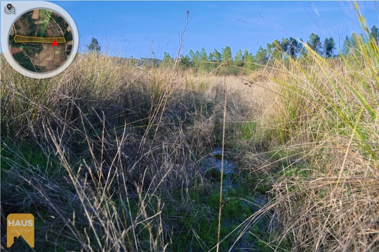 Terreno Agricola ou Rústico para Venda em Freixial e Juncal do Campo Foto 24
