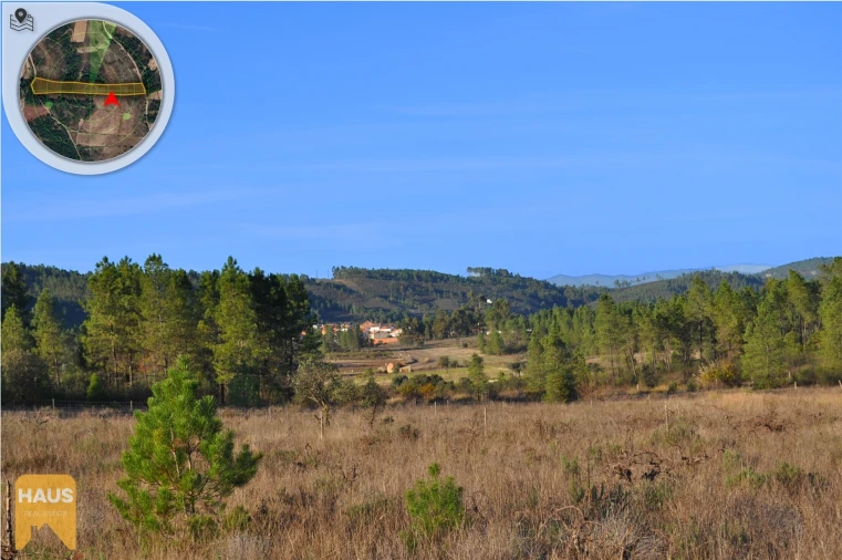 Terreno Agricola ou Rústico para Venda em Freixial e Juncal do Campo Foto 7