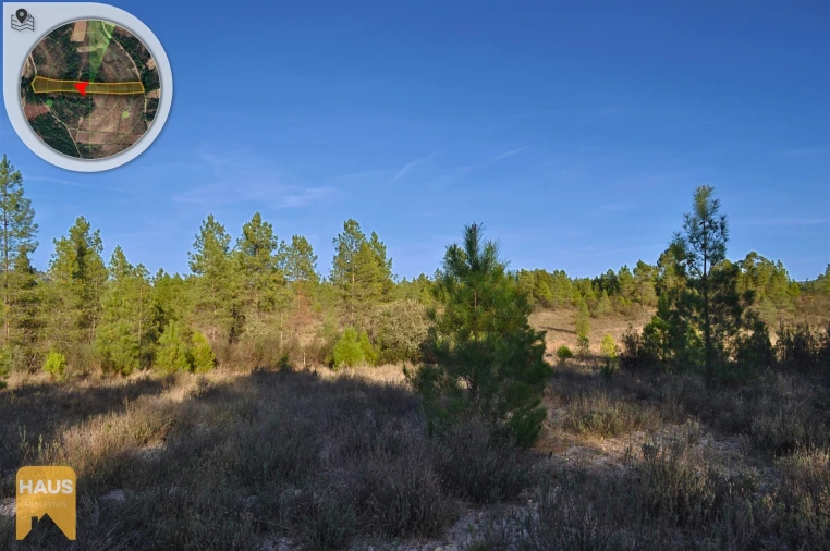 Terreno Agricola ou Rústico para Venda em Freixial e Juncal do Campo Foto 21