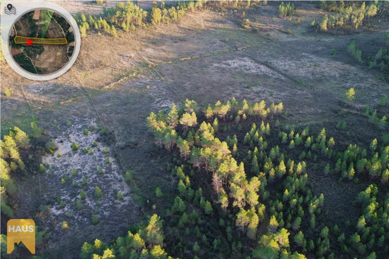 Terreno Agricola ou Rústico para Venda em Freixial e Juncal do Campo Foto 13