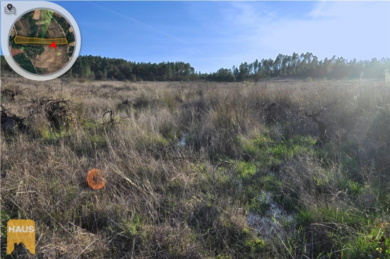 Terreno Agricola ou Rústico para Venda em Freixial e Juncal do Campo Foto 16