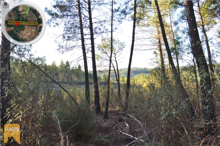 Terreno Agricola ou Rústico para Venda em Freixial e Juncal do Campo Foto 14
