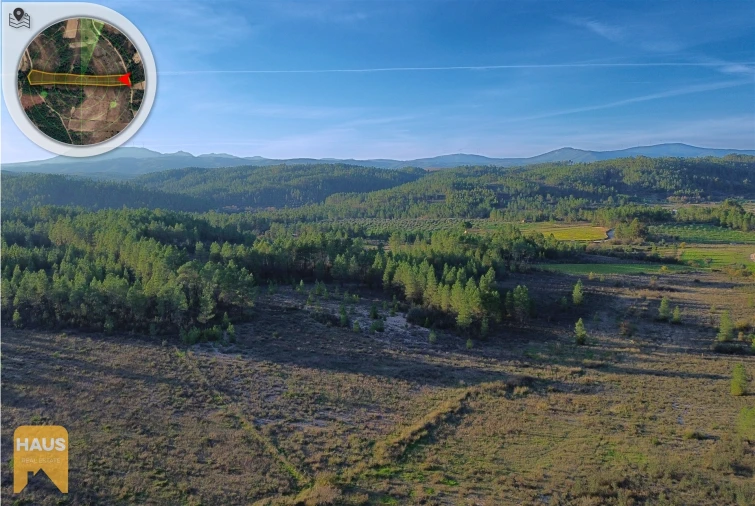 Terreno Agricola ou Rústico para Venda em Freixial e Juncal do Campo Foto 18
