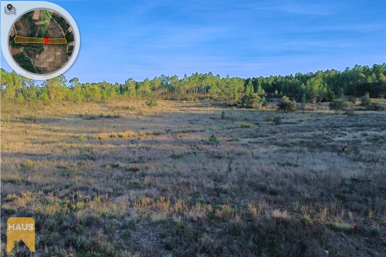 Terreno Agricola ou Rústico para Venda em Freixial e Juncal do Campo Foto 19