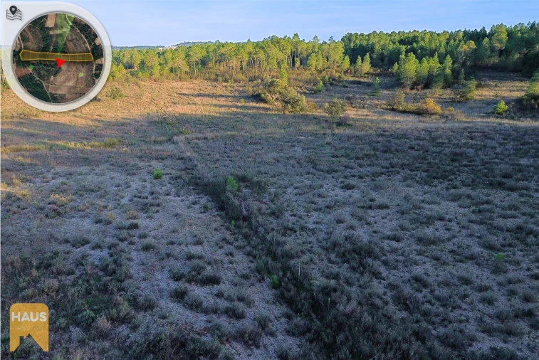 Terreno Agricola ou Rústico para Venda em Freixial e Juncal do Campo Foto 17