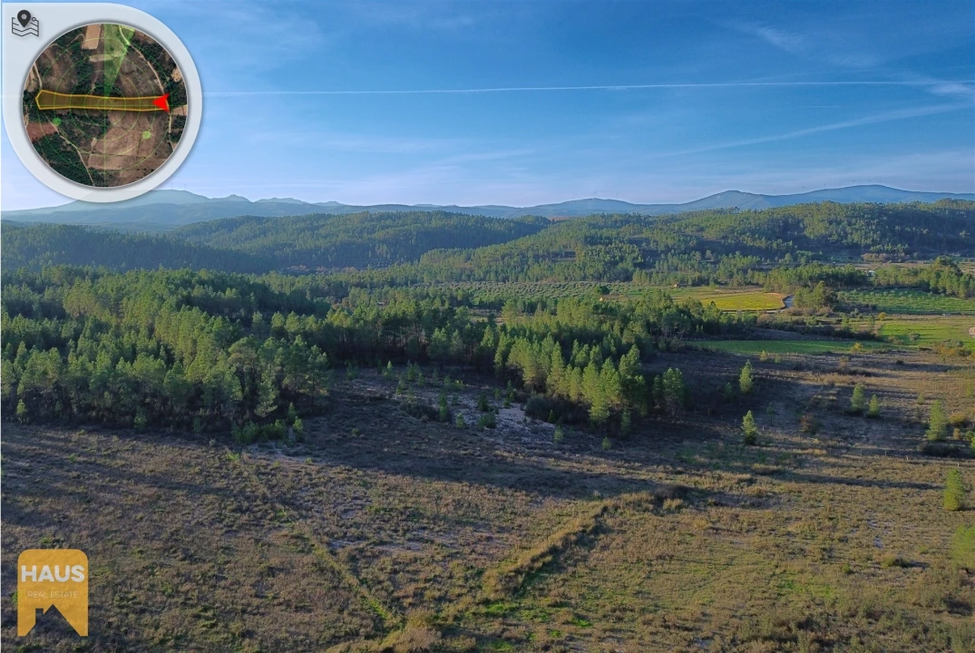 Terreno Agricola ou Rústico para Venda em Freixial e Juncal do Campo Foto 18
