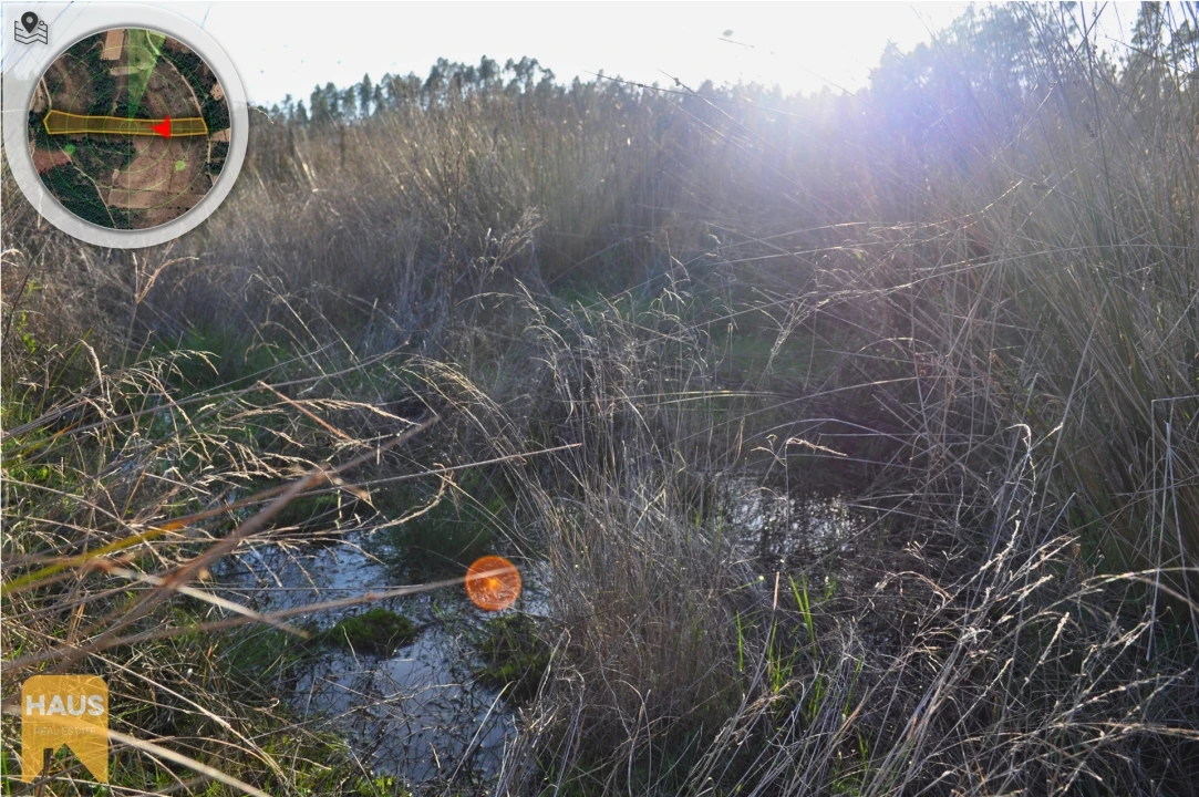 Terreno Agricola ou Rústico para Venda em Freixial e Juncal do Campo Foto 11