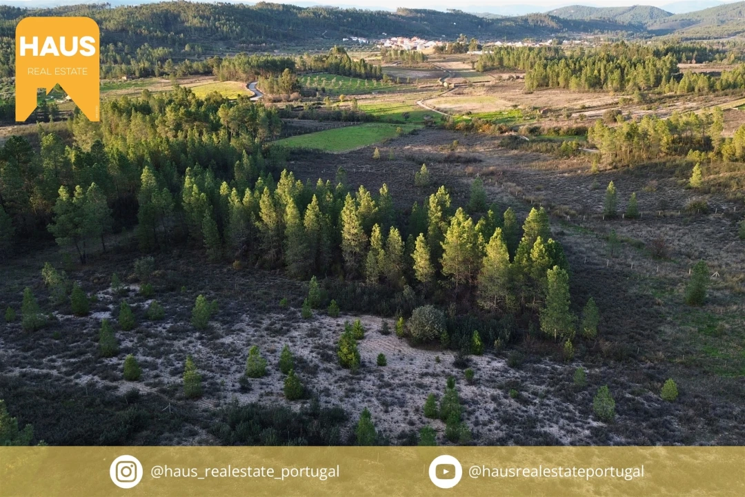 Terreno Agricola ou Rústico para Venda em Freixial e Juncal do Campo Foto 1