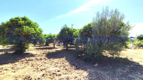 Moradia T3 para Venda em Moncarapacho e Fuseta