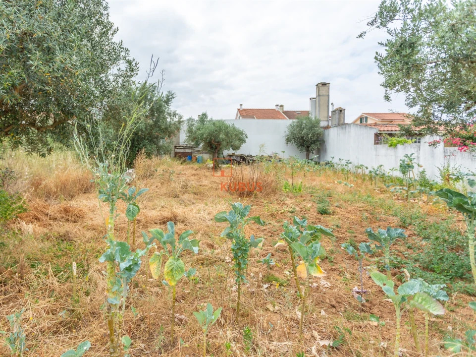 Terreno para Venda em São João Baptista Foto 2