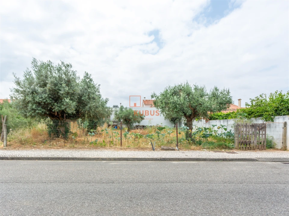 Terreno para Venda em São João Baptista Foto 7
