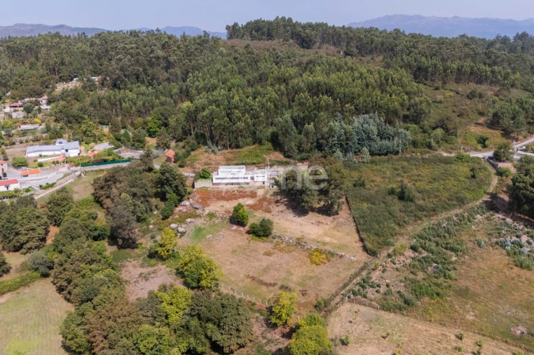 Moradia T3 para Venda em Serzedelo Foto 74