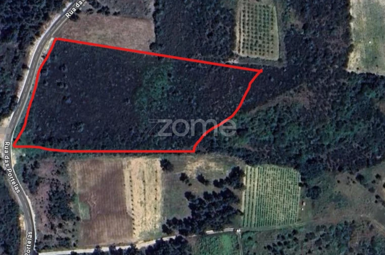 Terreno para Venda em Santa Maria Maior Foto 3