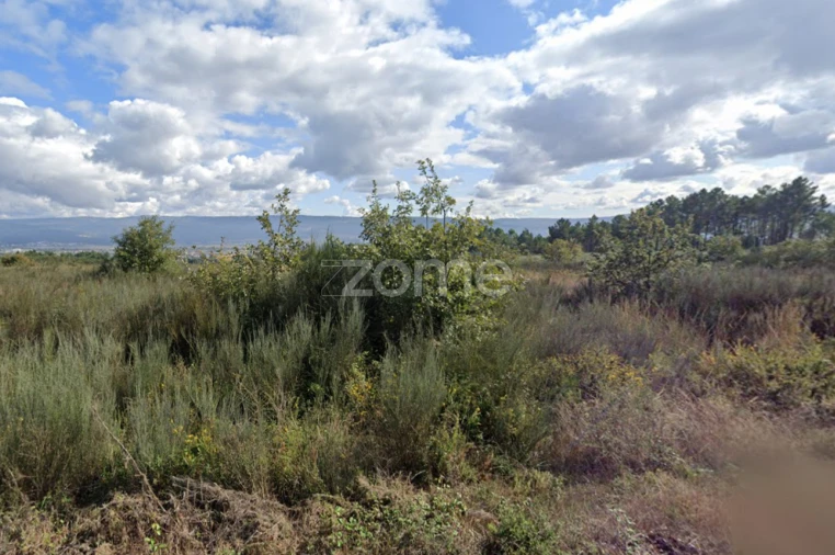 Terreno para Venda em Santa Maria Maior Foto 4