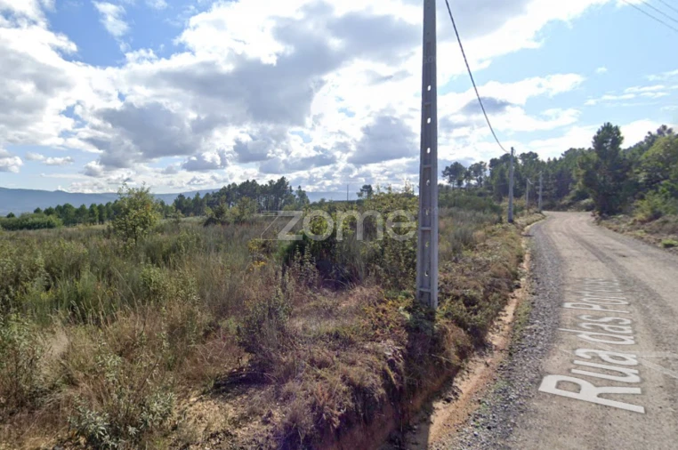 Terreno para Venda em Santa Maria Maior Foto 13