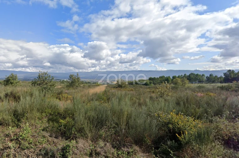 Terreno para Venda em Santa Maria Maior Foto 9