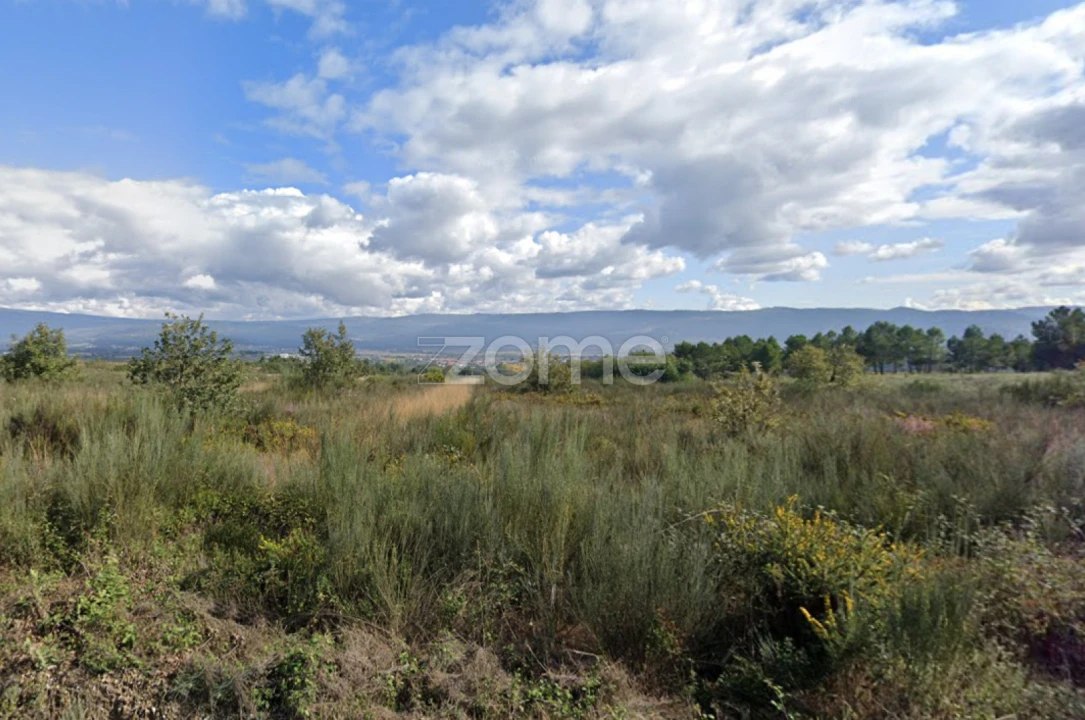 Terreno para Venda em Santa Maria Maior Foto 5