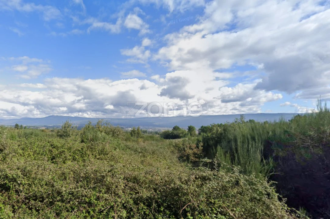 Terreno para Venda em Santa Maria Maior Foto 10