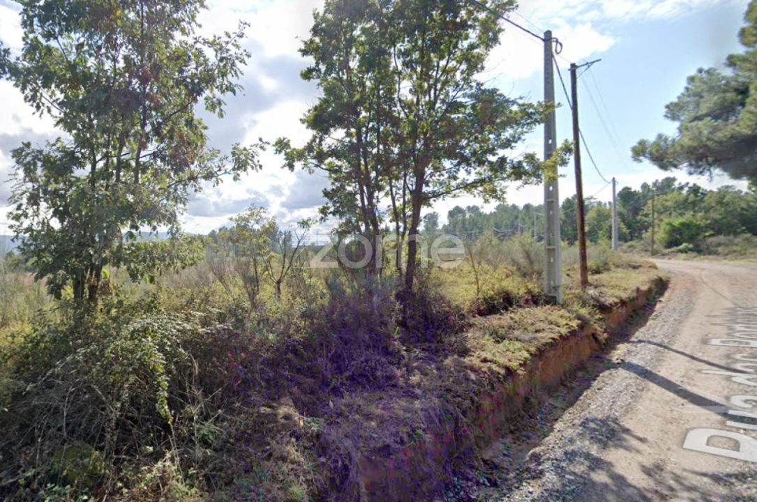 Terreno para Venda em Santa Maria Maior Foto 8