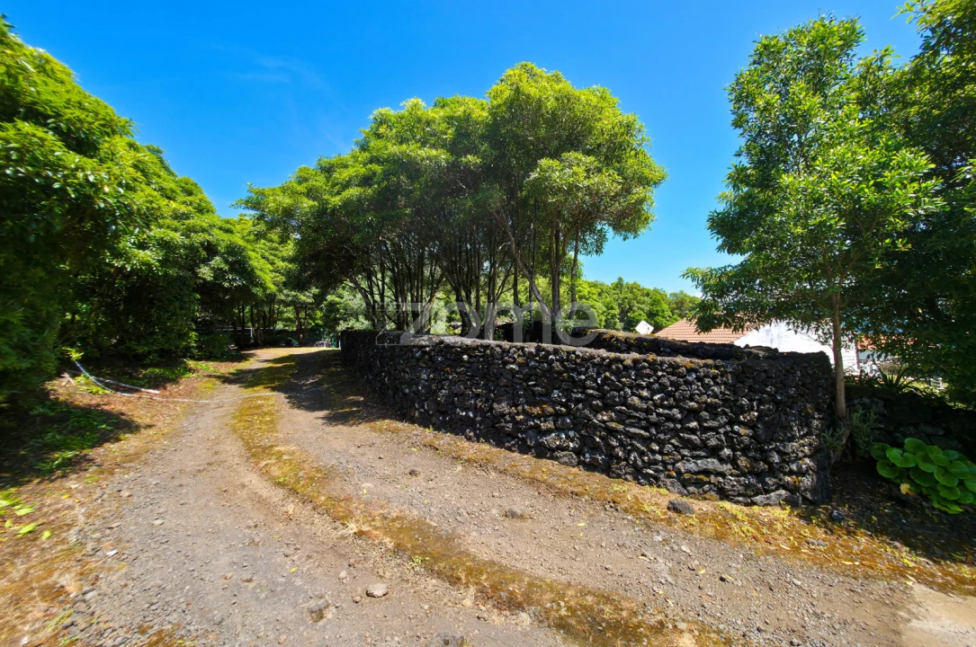 Moradia T4 para Venda em Prainha Foto 41