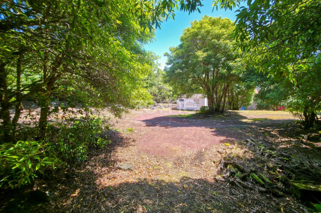 Moradia T4 para Venda em Prainha Foto 42