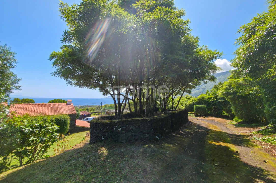 Moradia T4 para Venda em Prainha Foto 45