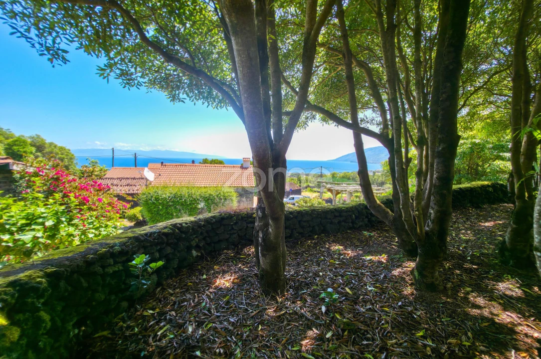 Moradia T4 para Venda em Prainha Foto 46