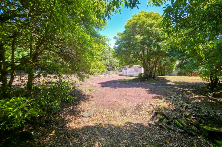 Moradia T4 para Venda em Prainha Foto 43