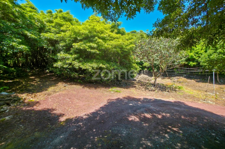 Moradia T4 para Venda em Prainha Foto 44