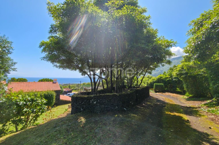 Moradia T4 para Venda em Prainha Foto 46