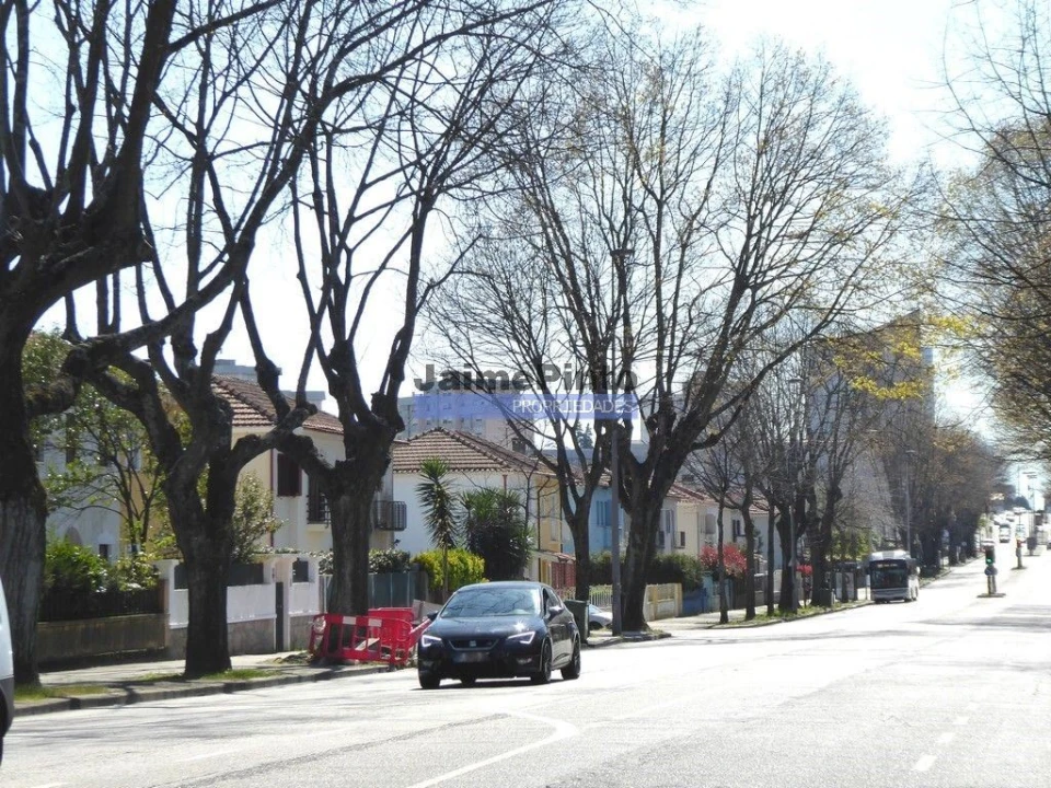 Terreno P/ Prédio para Venda em Paranhos Foto 5