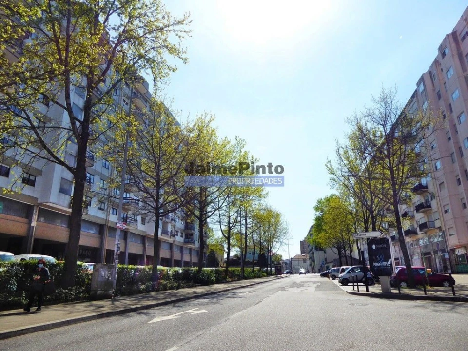 Terreno P/ Prédio para Venda em Paranhos Foto 6