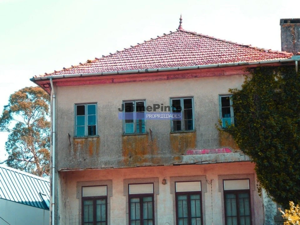 Terreno P/ Prédio para Venda em Paranhos Foto 8