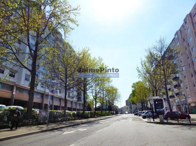 Terreno P/ Prédio para Venda em Paranhos Foto 6