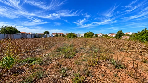 Terreno para Venda em Serra D'El-Rei