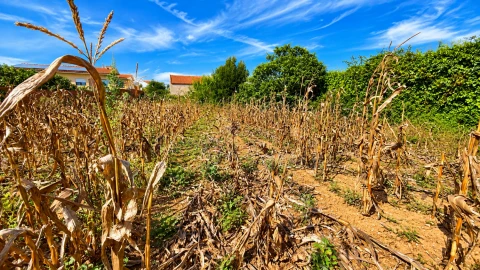 Terreno para Venda em Serra D'El-Rei