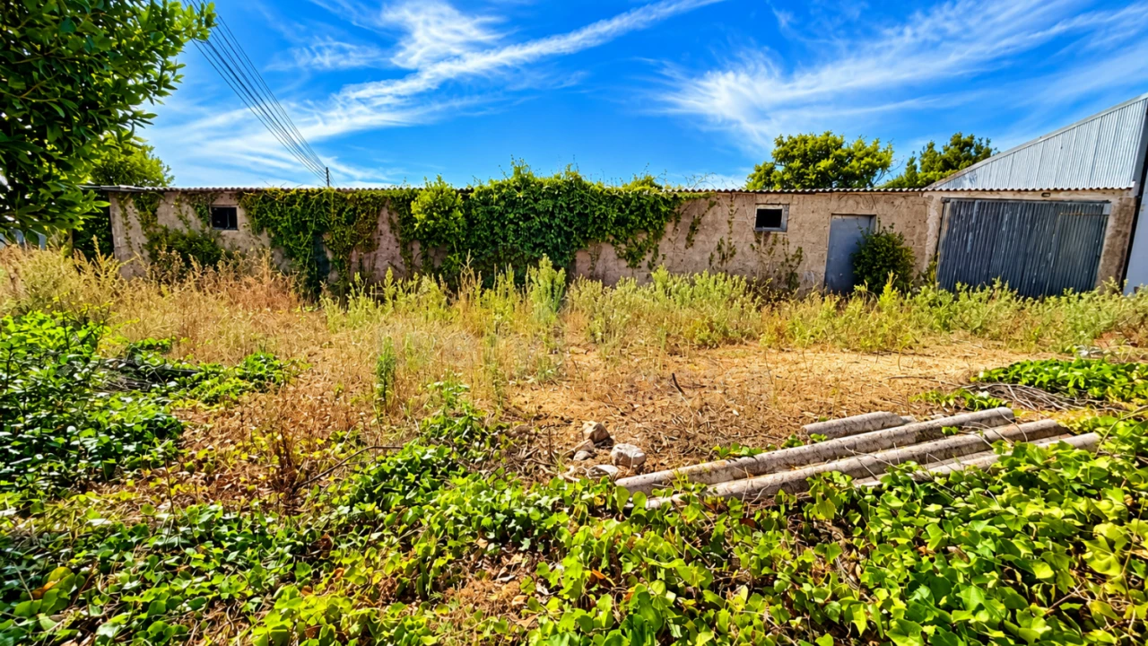 Terreno para Venda em Serra D'El-Rei Foto 8