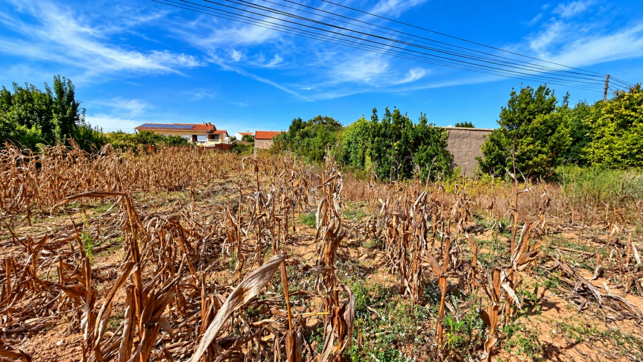 Terreno para Venda em Serra D'El-Rei Foto 13