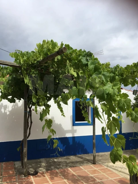 Moradia T4 para Venda em Colos
