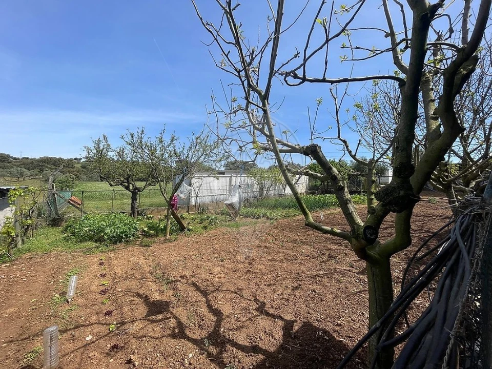 Quinta T3 para Venda em Nossa Senhora da Vila, Nossa Senhora do Bispo e Silveiras Foto 40