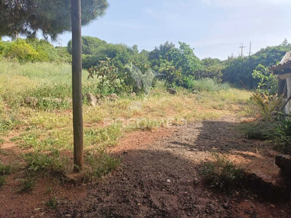 Quinta T2 para Venda em São Francisco da Serra Foto 17