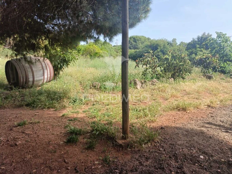 Quinta T2 para Venda em São Francisco da Serra Foto 16