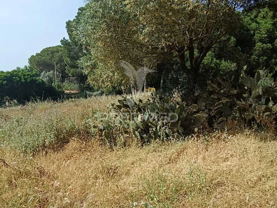 Quinta T2 para Venda em São Francisco da Serra Foto 13