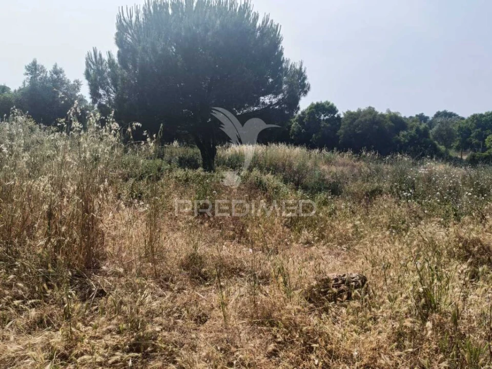 Quinta T2 para Venda em São Francisco da Serra Foto 15